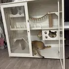 دولاب قطط