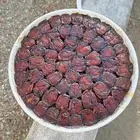 تمر العيص من مزارع الفرع