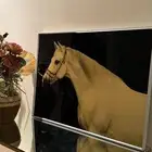 لوحة فنية باطار فضي