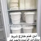 خاثر قشطه زبده لبنه سمن لبن مقدوس نوعين مفرزنات كل شي موجود