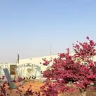 استراحه جميله قريبه من الجامعه مخطط ابن سحيم( للايجار)