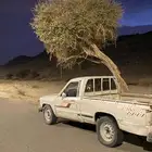 هايلكس 84