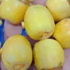 مناصيف حوشاني   مناصيف جميع أنواع التمر   سكري مفتل