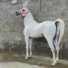 حصان شعبي