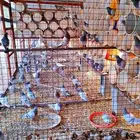 مشروع حمام منتج