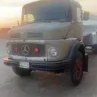 وايت حصنان شاص طويل