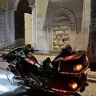 دباب قولد وينق