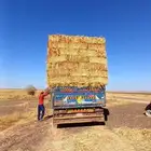 ذره قصب اعلاف برسيم جندير قلاس جميع انواع الاعلاف