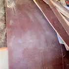 باب جديد ما فيه شي