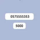 ارقام مميزه