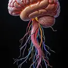 معلمه مختصة بقسم الاعصاب