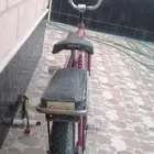 رامبو إندونيسي اصلي