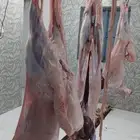 ذبائح أبو ذيب ( يتوفر ذبح وتوصيل )