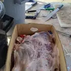 ذبايح