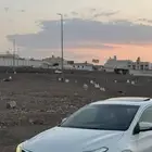 افالون 2017 ليمتد