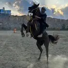 تم البيع