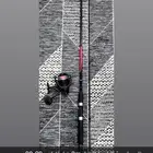 للبيع قصبة كاشيما معى مكينة نانو