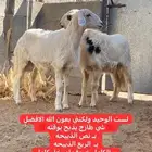 خرفان بلديه