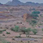 مطلوب ابل خلفات