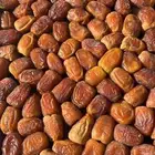 توفير جميع أنواع تمور القصيم