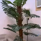 اثاث