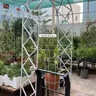 استاندات للاشجار المتسلقه