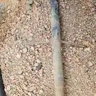 عمود وزن مشط حراثه كابوته