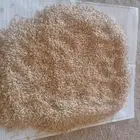 شعير سداسي امريكي جيل ثاني