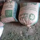 للبيع تمر علف