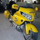 قولد وينق