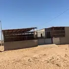 لللبيع شبك غنم جاهز في سوق البل وادي الدواسر