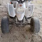 دباب سويدي للبيع