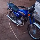 دباب x100 الأصلي بدون أوراق