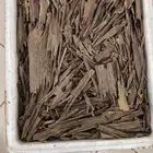 عود هندي طبيعي 100