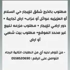 قائمة بالطلبات لهذا اليوم 29-7-2025