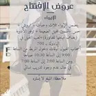 خيل ايواء تدريب