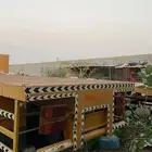 تيادر عدد انثنين سطحه