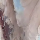 حشو فواخر و حريات كلها من مهد الذهب والسويرقيه