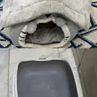 اغراض قطط