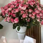 مندوب ورد وهدايا وتوصيل الطلبات