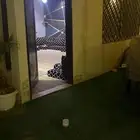 استراحة للبيع