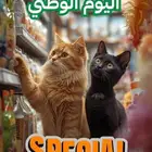 خصم خاص للعمليات و التطعيمات لمدة شهر