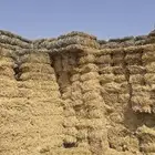 تبن قمح نادك