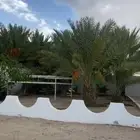استراحة في العقيق