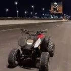 دباب سويدي