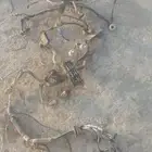 للبيع ظفيره طبلون هايلكس وكاله