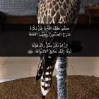 مطلوووب شقه دور ارضي مع حوش ويكون سعرها مناسب الافضل يكون في
