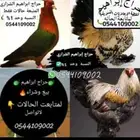 حراج إبراهيم الشراري المتبعة حالات فقط حياكم الله جميع