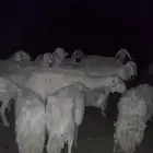 السلام عليكم ورحمة الله وبركاته