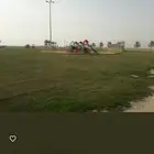 للبيع أرض سكنية في السلام بمحافظة الشماسية
